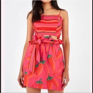 Farm Rio Red Pepper chili skirt size xs perfect condition smoke pet free home